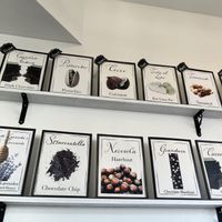 Vegan flavors on top row  at Tondi Gelato in Santa Barbara