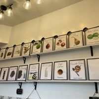 Whole top row shows the different vegan flavours  at Tondi Gelato in Santa Barbara