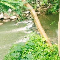 River next to restaurant at Loving Hut - Pak Chong in Pak Chong