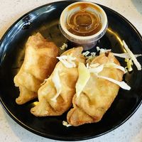 Vegetable Gyoza  at BittyFish Sushi in Lynnwood