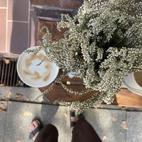 Latte Macchiato with oat milk 🥰  at Café Kofje in Hamburg