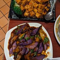  at Dumpling House in Cambridge