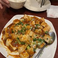 Mapo tofu  at Dumpling House in Cambridge