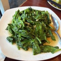 Sautéed peapod shoots with garlic  at Dumpling House in Cambridge