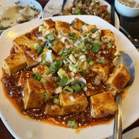 Ma Po Tofu  at Dumpling House in Cambridge