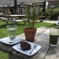 Vegan brownie at De Moestuin in Utrecht