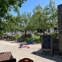   at De Moestuin in Utrecht