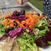 Lunch salad: lots of flavorful components. Bread and peanut hummus were a highlight   at De Moestuin in Utrecht