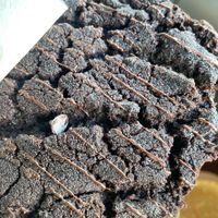 Vegan Mint Chocolate Cookie. It's soft & tastes like a brownie. at Modern Crumb Bakery in Easton