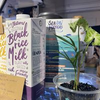   at Root Vegan - 本原純素 in Hong Kong Island