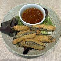   at Root Vegan - 本原純素 in Hong Kong Island