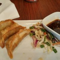 Veggie Potstickers at Veggie Heaven in Austin
