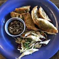Potstickers at Veggie Heaven in Austin