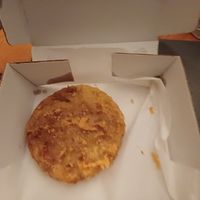 Vishcake at Sea & Earth in Nottingham