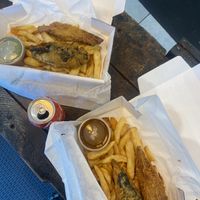   at Sea & Earth in Nottingham