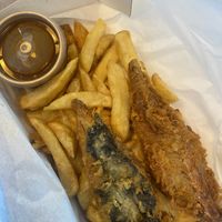   at Sea & Earth in Nottingham