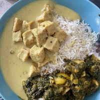 Coconut tofu, garlic rice, roti and sag aloo  at Gurkha in Dawlish