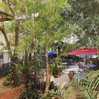 Garden at The Tea Club in Nowra