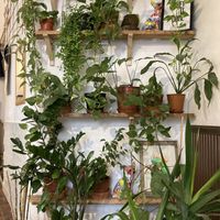 beautiful vibes  at Matsu Premium Tea & Coffee in Bratislava