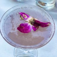 The ‘Blue Orchid’ - one of their delicious cocktails  at Forno in Columbus