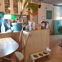 cat food buffet on floor for the 2 lovely cats that live here at Green Nap in Seoul