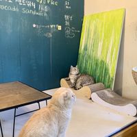   at Green Nap in Seoul