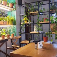 Inside at Matcha Coffee and Eatery in Pristina