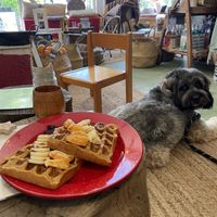 Fruit waffles plus #dogtax  at Roots in Aljezur