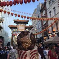 the view!  at Bubblewrap Waffle in London