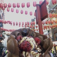 Pictured is the vegan special combo   at Bubblewrap Waffle in London