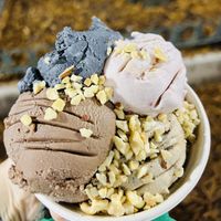 Wakanda, strawberry mango, mocha and chocolate   at eighty7sweets Vegan Ice Cream Company in Atlanta
