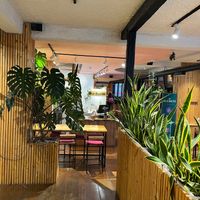Indoor plants include a forest of snake plants (lule shpata in Albanian- sword flower!) at Crust n Crumb in Pristina