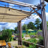 The garden at Noordertuin in Utrecht