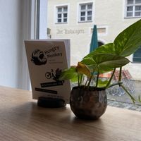   at Hungry Monkey in Ingolstadt