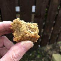 Ginger flapjack  at Scott's of Alnmouth in Alnmouth