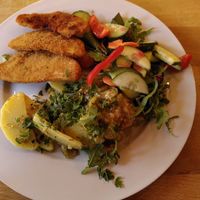 Sellerieschnitzel (vegan) at Aha Cafe in Dresden