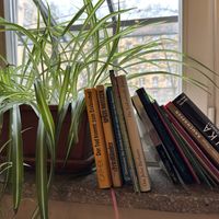 inside  at Aha Cafe in Dresden