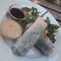 vegan summer rolls at Aha Cafe in Dresden
