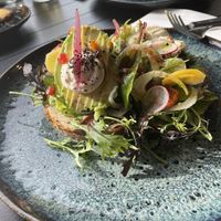   at The Blue Zone in Alkmaar