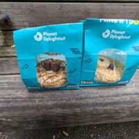 Two of the vegan donuts at Planet Doughnut in Chester