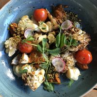   at Gribus in Barneveld