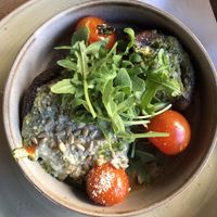   at Gribus in Barneveld