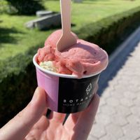 Strawberry & pistacchio-vanilla-cranberry ice cream at Botanovic in Makarska