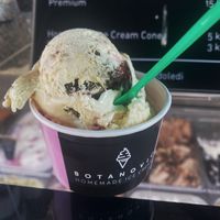   at Botanovic in Makarska