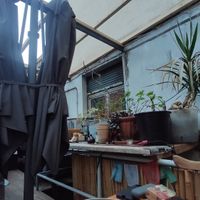  at DOWN to EARTH Noodles in Cologne