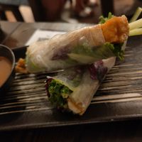 Sommerrollen at An Nam in Koblenz