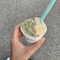   at Fior di Gelato in Vicenza