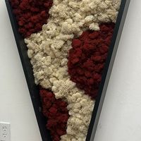   at Meek's Vegan Pizza in Houston