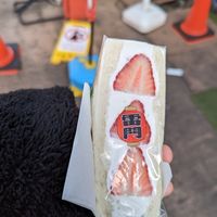  at Hatoya's Vegan Fruit Sandwiches in Tokyo