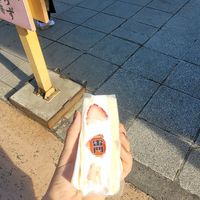  at Hatoya's Vegan Fruit Sandwiches in Tokyo